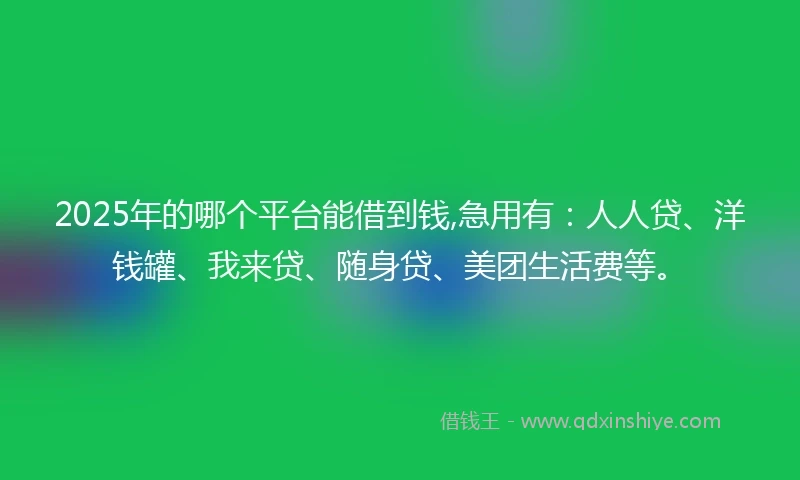 2025年的哪个平台能借到钱,急用有：人人贷、洋钱罐、我来贷、随身贷、美团生活费等。