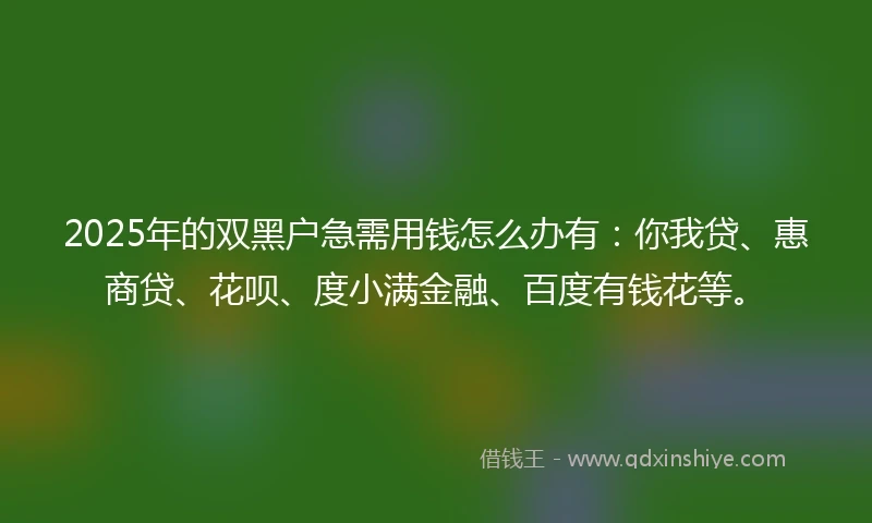 2025年的双黑户急需用钱怎么办有：你我贷、惠商贷、花呗、度小满金融、百度有钱花等。