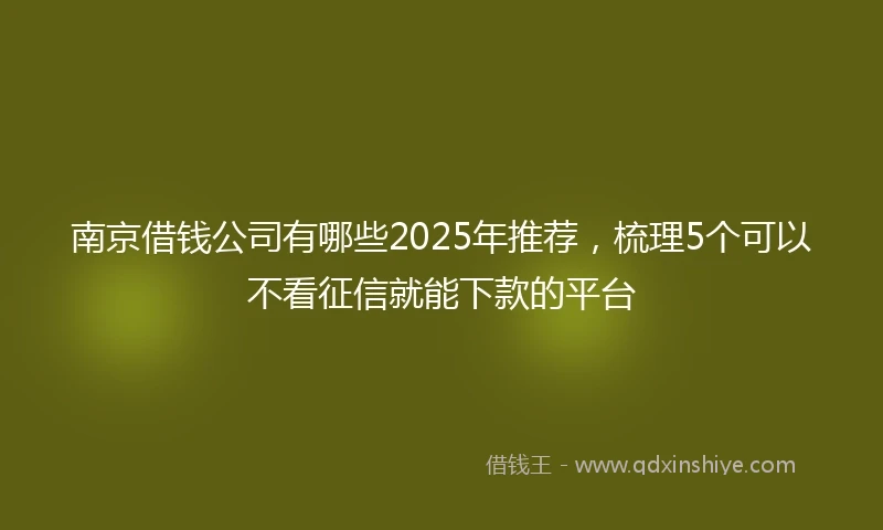 南京借钱公司有哪些2025年推荐，梳理5个可以不看征信就能下款的平台