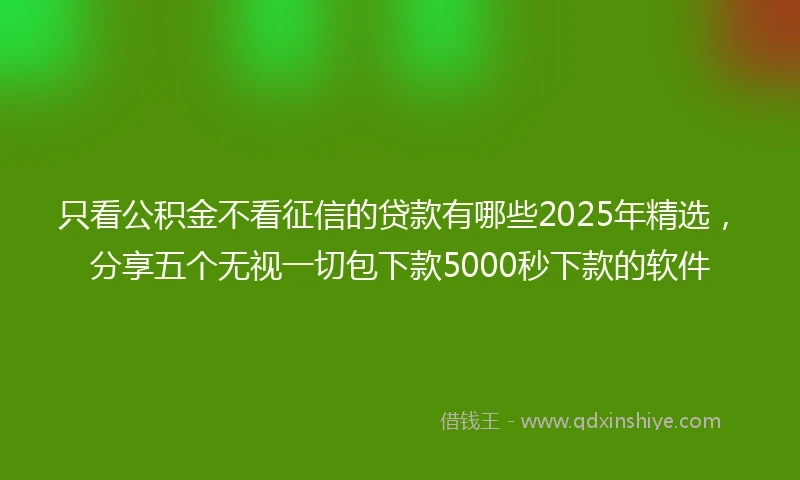 只看公积金不看征信的贷款有哪些2025年精选，分享五个无视一切包下款5000秒下款的软件