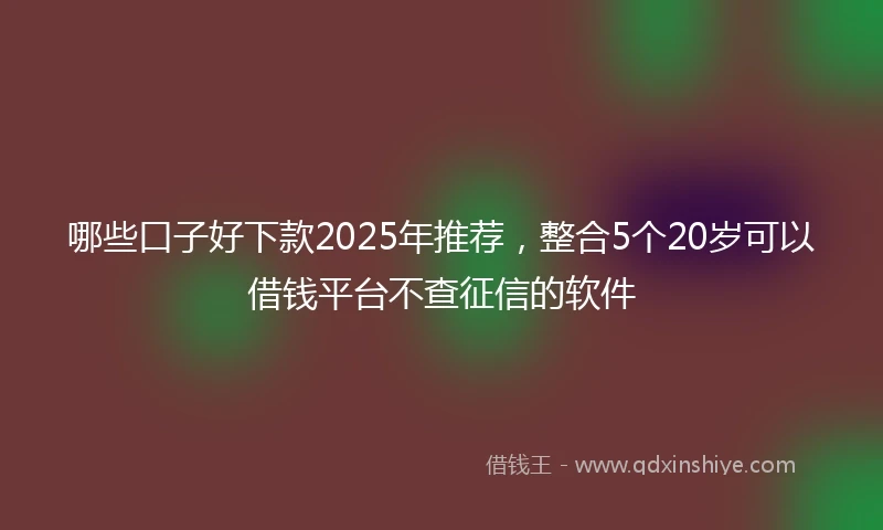 哪些口子好下款2025年推荐,整合5个20岁可以借钱平台不查征信的软件