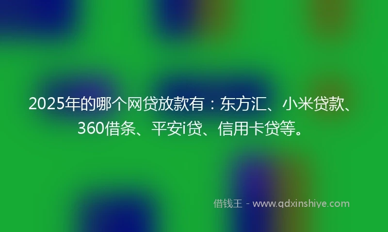 2025年的哪个网贷放款有：东方汇、小米贷款、360借条、平安i贷、信用卡贷等。