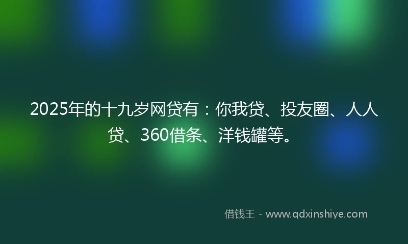 2025年的十九岁网贷有：你我贷、投友圈、人人贷、360借条、洋钱罐等。