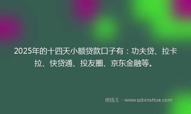 2025年的十四天小额贷款口子有：功夫贷、拉卡拉、快贷通、投友圈、京东金融等。