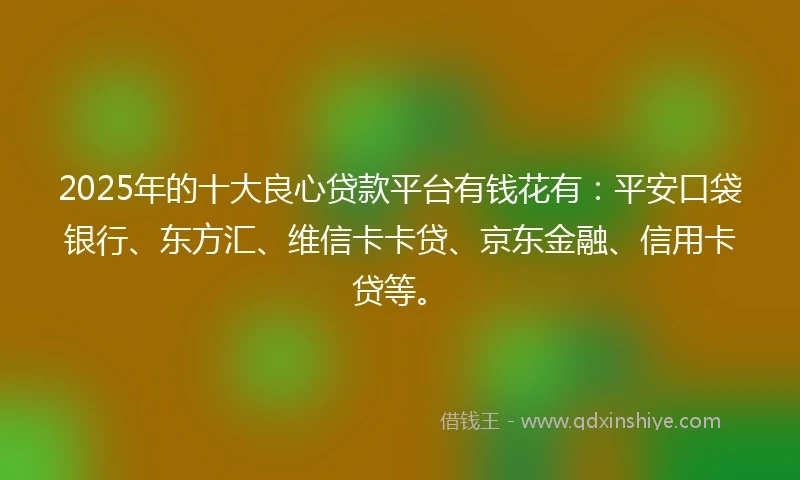 2025年的十大良心贷款平台有钱花有：平安口袋银行、东方汇、维信卡卡贷、京东金融、信用卡贷等。