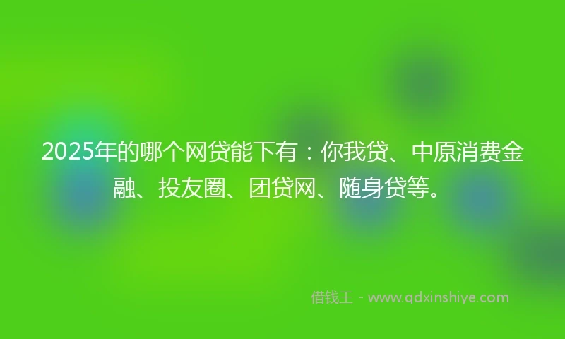 2025年的哪个网贷能下有：你我贷、中原消费金融、投友圈、团贷网、随身贷等。
