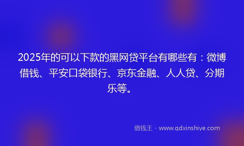 2025年的可以下款的黑网贷平台有哪些有：微博借钱、平安口袋银行、京东金融、人人贷、分期乐等。