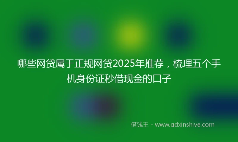 哪些网贷属于正规网贷2025年推荐，梳理五个手机身份证秒借现金的口子