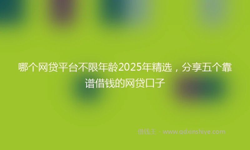 哪个网贷平台不限年龄2025年精选，分享五个靠谱借钱的网贷口子
