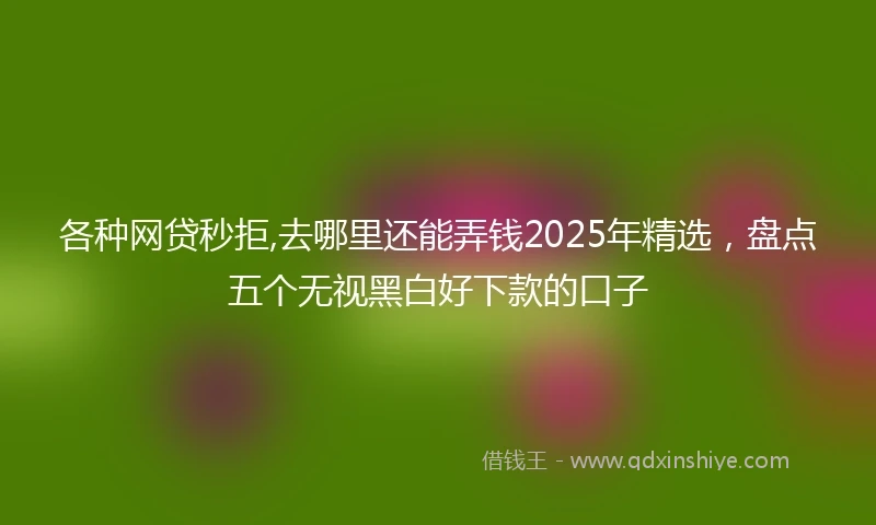 各种网贷秒拒,去哪里还能弄钱2025年精选，盘点五个无视黑白好下款的口子
