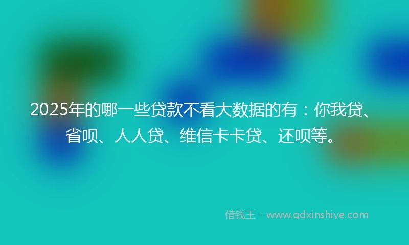 2025年的哪一些贷款不看大数据的有：你我贷、省呗、人人贷、维信卡卡贷、还呗等。