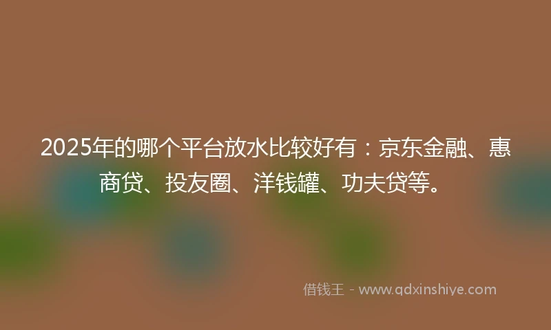2025年的哪个平台放水比较好有：京东金融、惠商贷、投友圈、洋钱罐、功夫贷等。