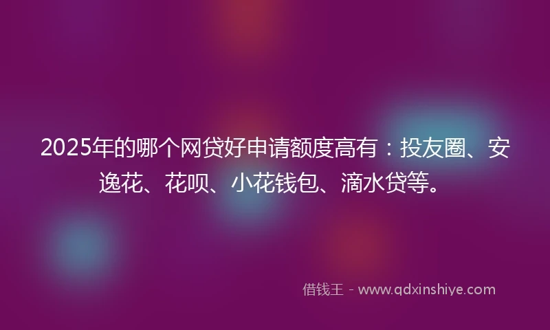2025年的哪个网贷好申请额度高有：投友圈、安逸花、花呗、小花钱包、滴水贷等。