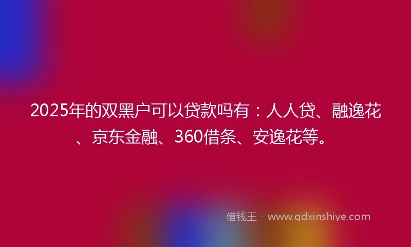 2025年的双黑户可以贷款吗有：人人贷、融逸花、京东金融、360借条、安逸花等。