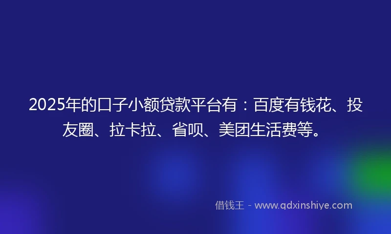 2025年的口子小额贷款平台有：百度有钱花、投友圈、拉卡拉、省呗、美团生活费等。