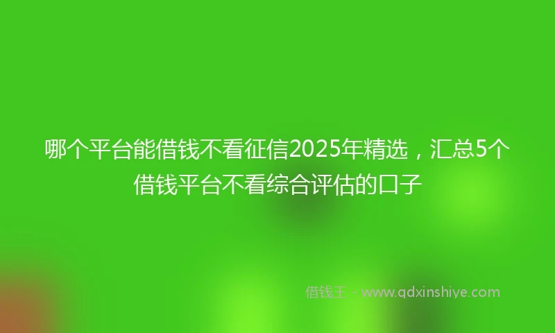 哪个平台能借钱不看征信2025年精选，汇总5个借钱平台不看综合评估的口子