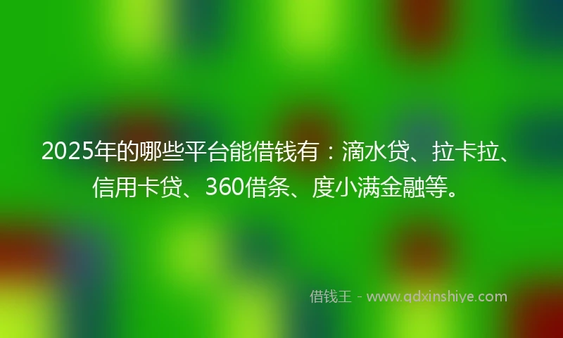 2025年的哪些平台能借钱有：滴水贷、拉卡拉、信用卡贷、360借条、度小满金融等。