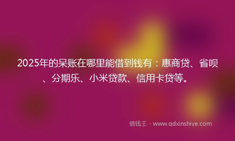 2025年的呆账在哪里能借到钱有：惠商贷、省呗、分期乐、小米贷款、信用卡贷等。