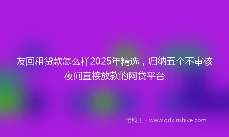 友回租贷款怎么样2025年精选，归纳五个不审核夜间直接放款的网贷平台