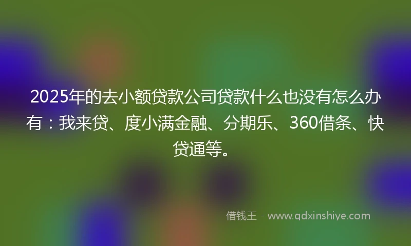 2025年的去小额贷款公司贷款什么也没有怎么办有：我来贷、度小满金融、分期乐、360借条、快贷通等。