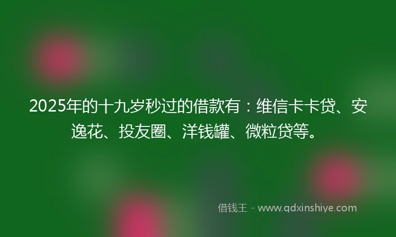 2025年的十九岁秒过的借款有：维信卡卡贷、安逸花、投友圈、洋钱罐、微粒贷等。