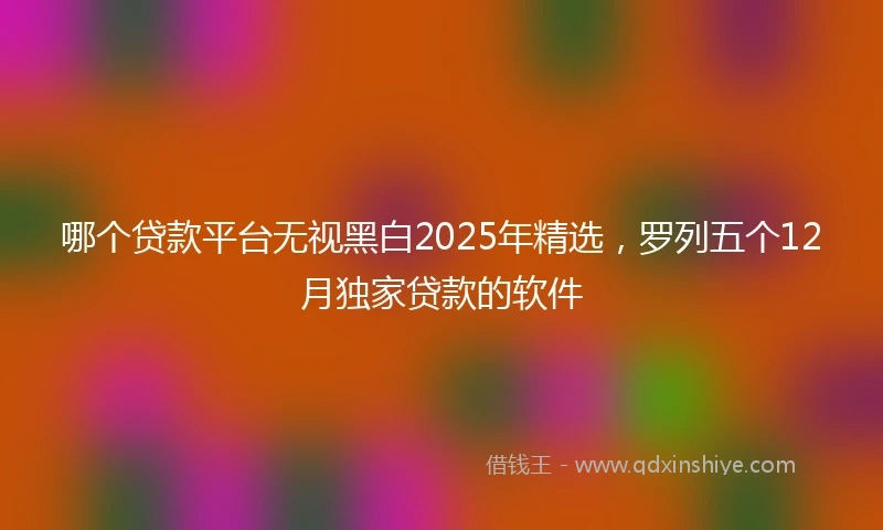 哪个贷款平台无视黑白2025年精选，罗列五个12月独家贷款的软件