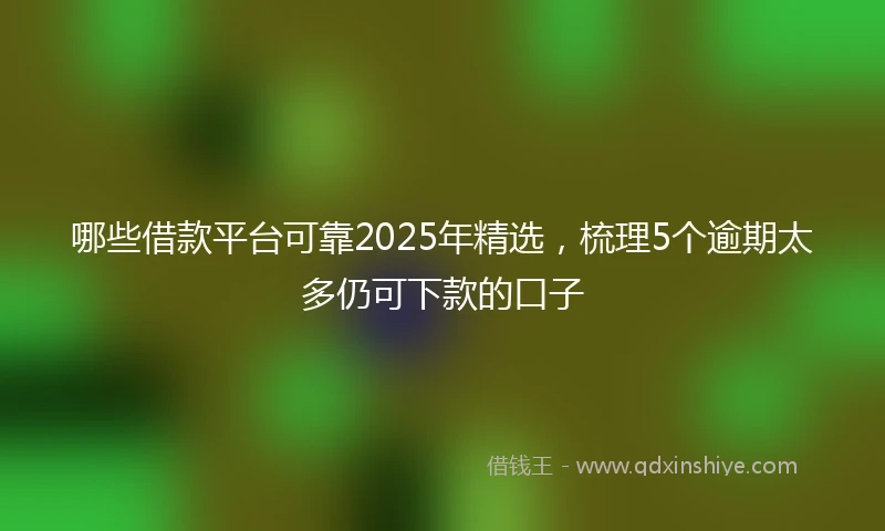 哪些借款平台可靠2025年精选，梳理5个逾期太多仍可下款的口子