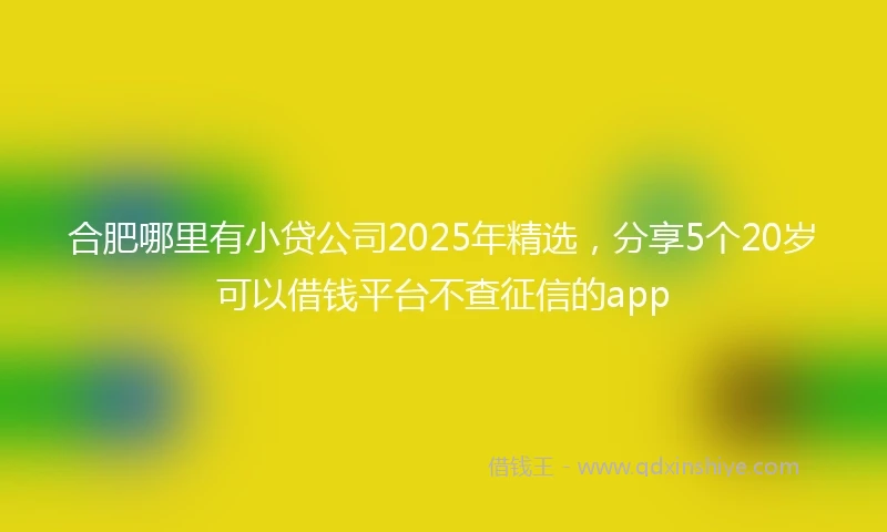 合肥哪里有小贷公司2025年精选，分享5个20岁可以借钱平台不查征信的app