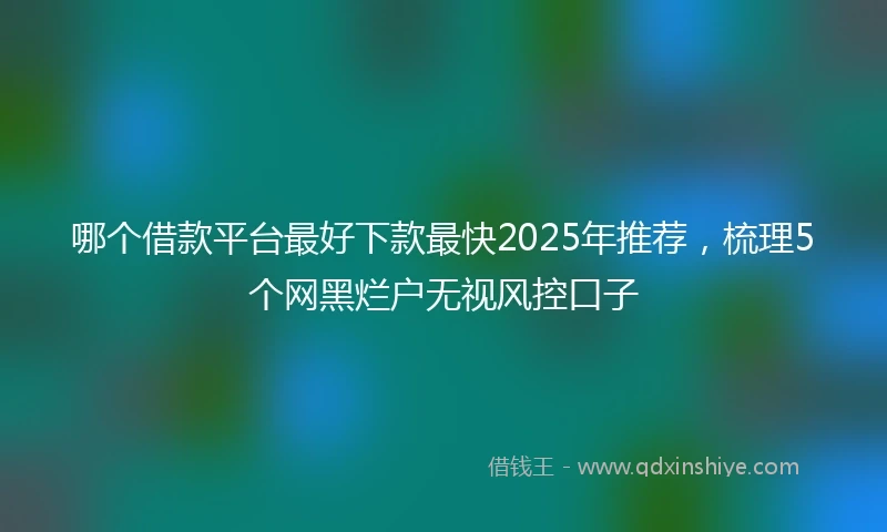哪个借款平台最好下款最快2025年推荐，梳理5个网黑烂户无视风控口子