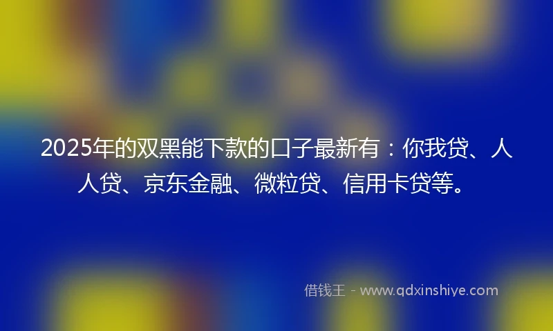 2025年的双黑能下款的口子最新有：你我贷、人人贷、京东金融、微粒贷、信用卡贷等。