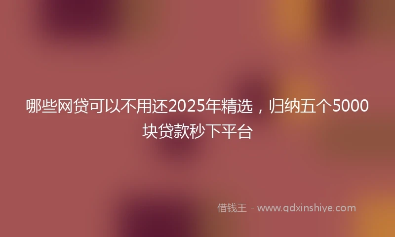 哪些网贷可以不用还2025年精选，归纳五个5000块贷款秒下平台