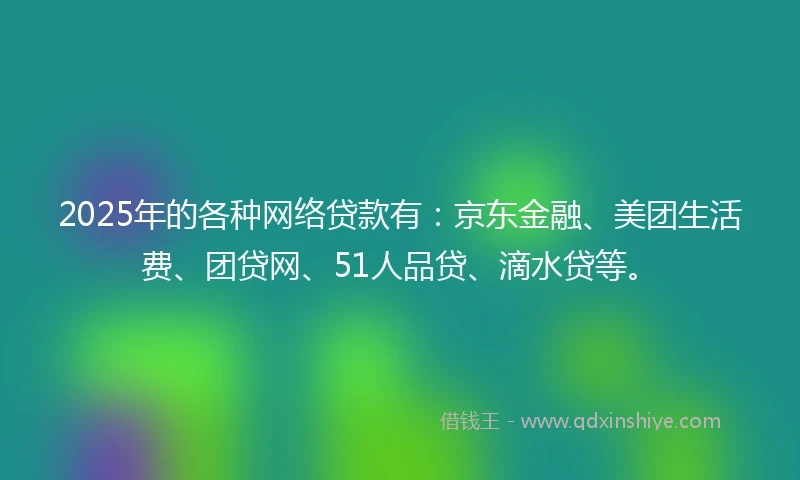 2025年的各种网络贷款有：京东金融、美团生活费、团贷网、51人品贷、滴水贷等。