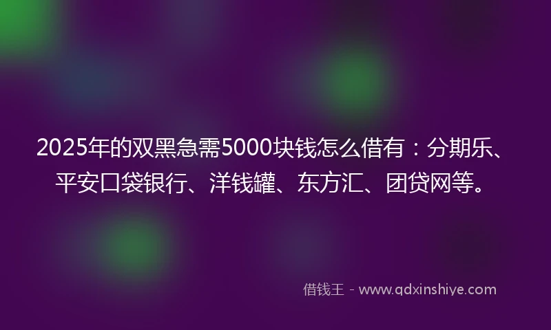 2025年的双黑急需5000块钱怎么借有：分期乐、平安口袋银行、洋钱罐、东方汇、团贷网等。