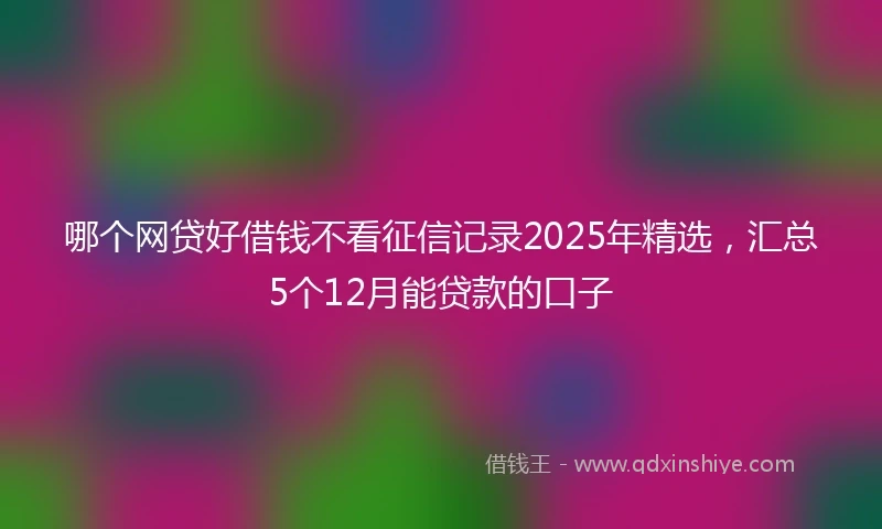 哪个网贷好借钱不看征信记录2025年精选，汇总5个12月能贷款的口子