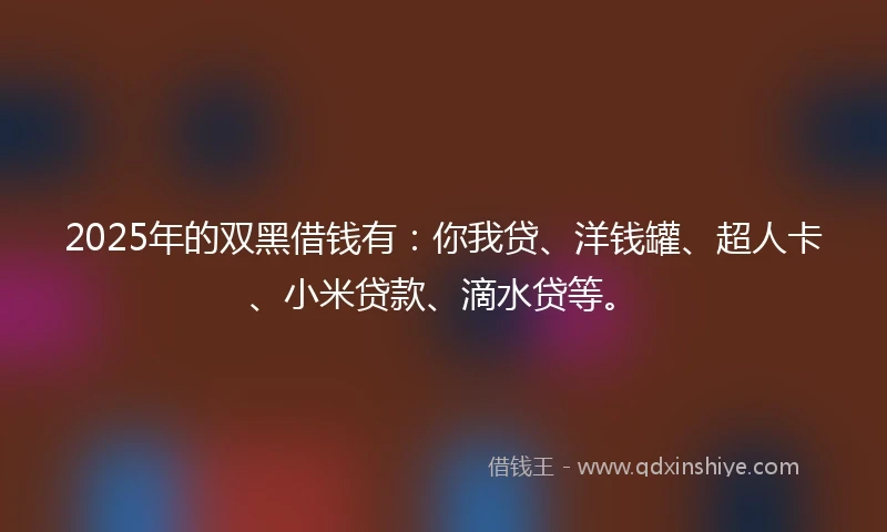 2025年的双黑借钱有：你我贷、洋钱罐、超人卡、小米贷款、滴水贷等。