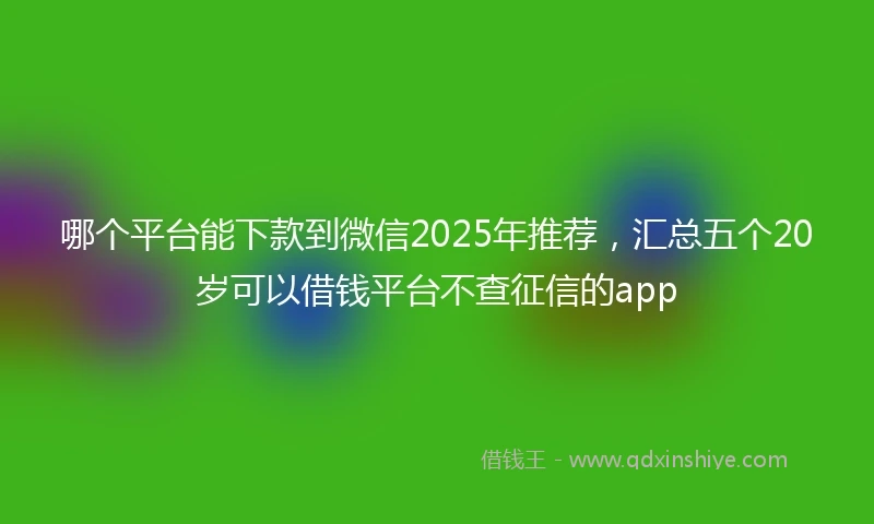 哪个平台能下款到微信2025年推荐，汇总五个20岁可以借钱平台不查征信的app