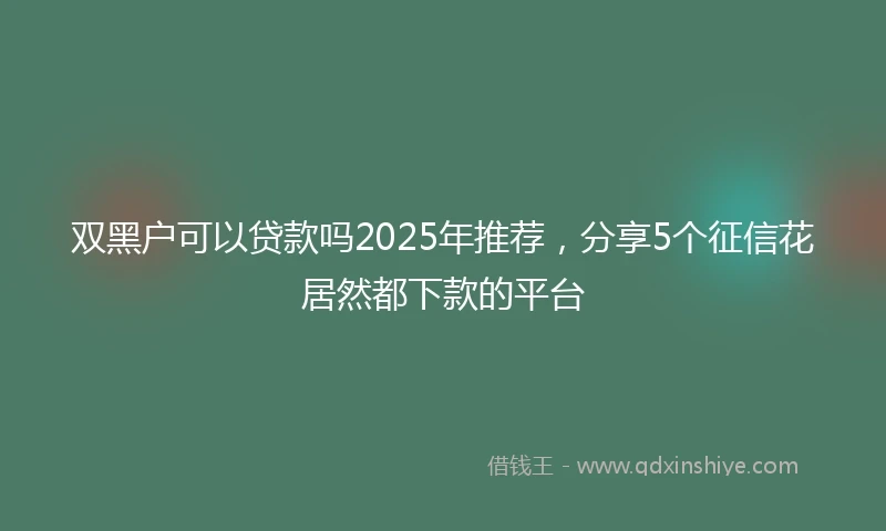 双黑户可以贷款吗2025年推荐，分享5个征信花居然都下款的平台