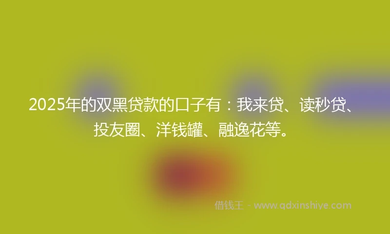 2025年的双黑贷款的口子有：我来贷、读秒贷、投友圈、洋钱罐、融逸花等。