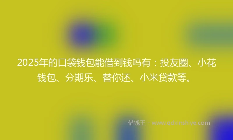 2025年的口袋钱包能借到钱吗有：投友圈、小花钱包、分期乐、替你还、小米贷款等。