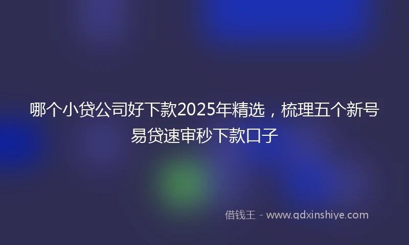 哪个小贷公司好下款2025年精选，梳理五个新号易贷速审秒下款口子