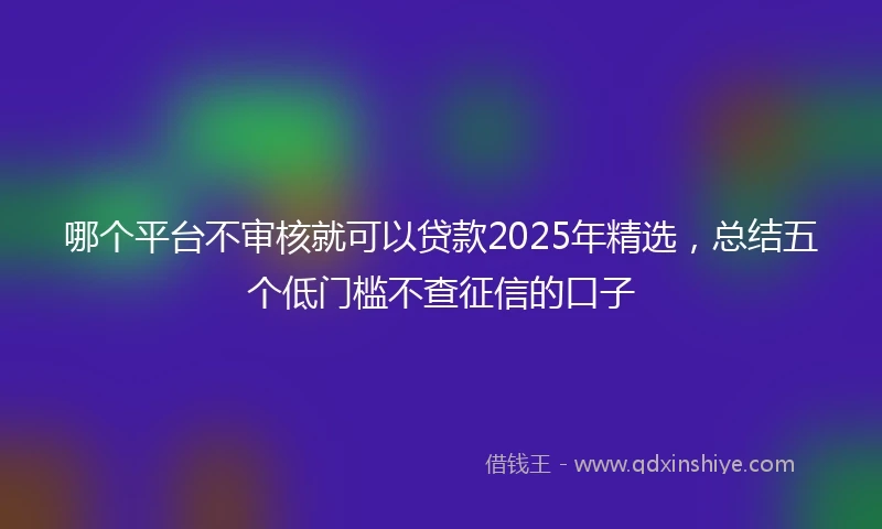 哪个平台不审核就可以贷款2025年精选，总结五个低门槛不查征信的口子