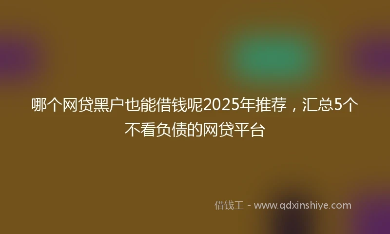 哪个网贷黑户也能借钱呢2025年推荐，汇总5个不看负债的网贷平台
