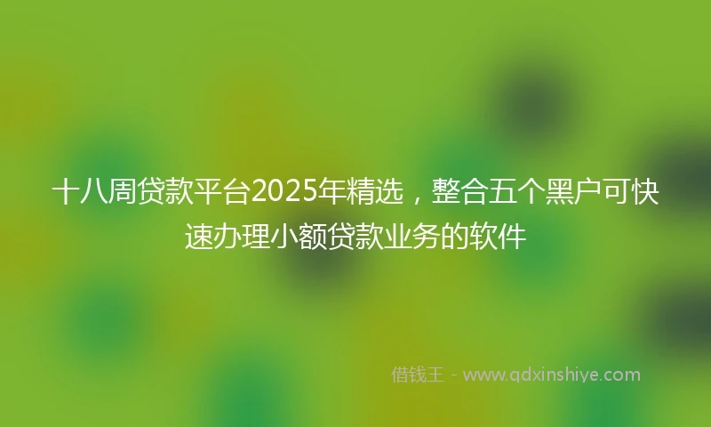 十八周贷款平台2025年精选，整合五个黑户可快速办理小额贷款业务的软件