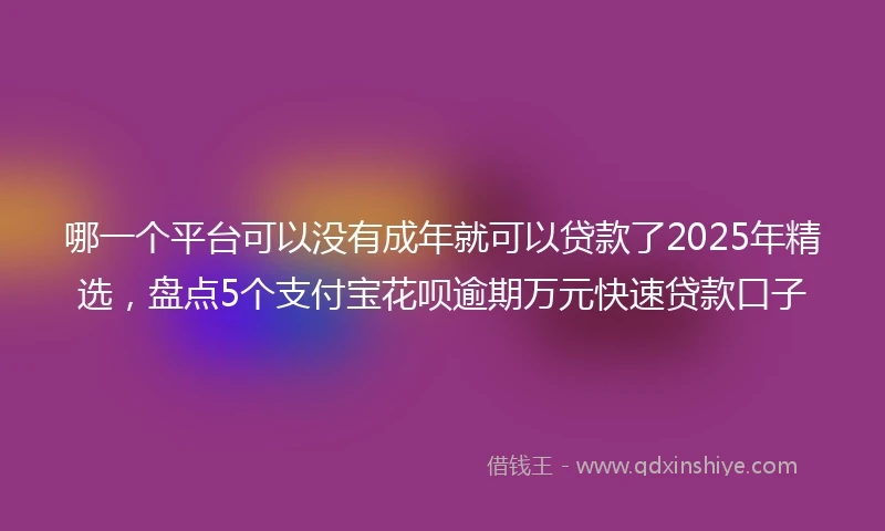 哪一个平台可以没有成年就可以贷款了2025年精选，盘点5个支付宝花呗逾期万元快速贷款口子