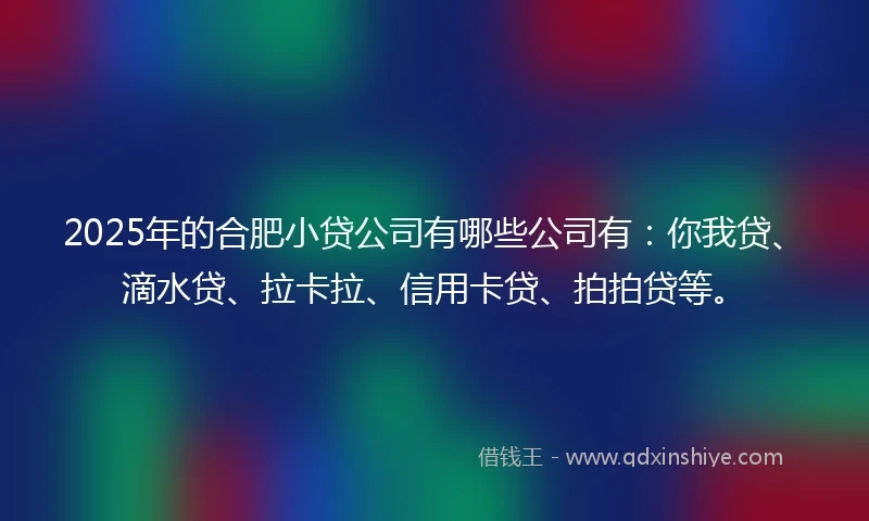 2025年的合肥小贷公司有哪些公司有：你我贷、滴水贷、拉卡拉、信用卡贷、拍拍贷等。
