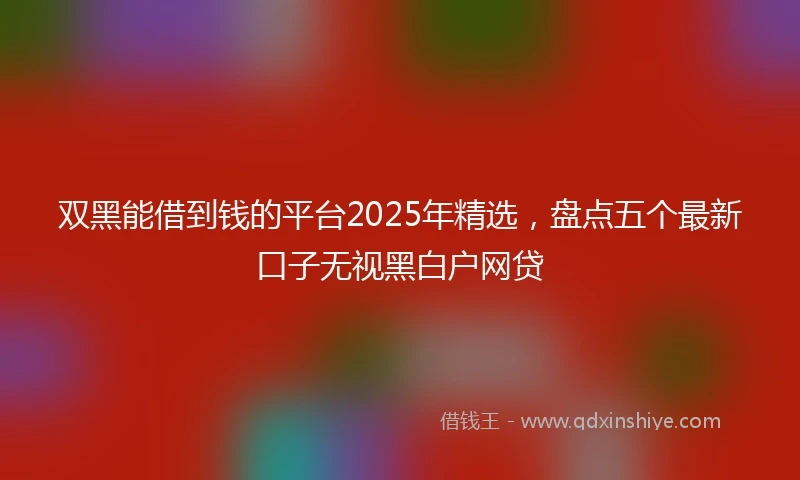 双黑能借到钱的平台2025年精选，盘点五个最新口子无视黑白户网贷