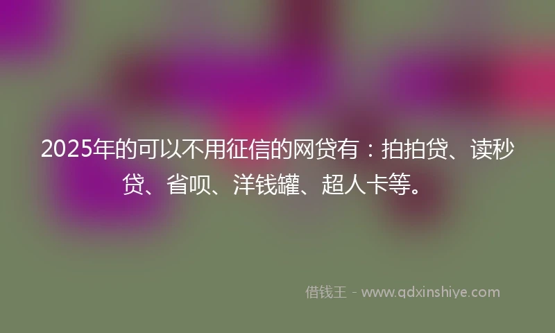 2025年的可以不用征信的网贷有：拍拍贷、读秒贷、省呗、洋钱罐、超人卡等。