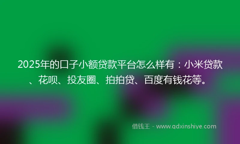 2025年的口子小额贷款平台怎么样有：小米贷款、花呗、投友圈、拍拍贷、百度有钱花等。