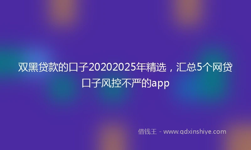 双黑贷款的口子20202025年精选，汇总5个网贷口子风控不严的app