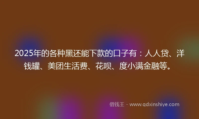 2025年的各种黑还能下款的口子有：人人贷、洋钱罐、美团生活费、花呗、度小满金融等。